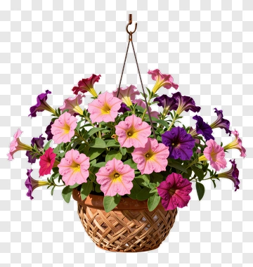 Colorful Hanging Flower Basket PNG