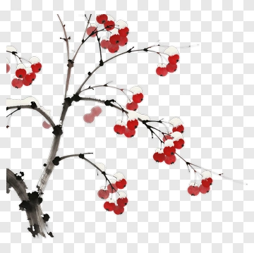 Red Cherry Blossom Branch PNG
