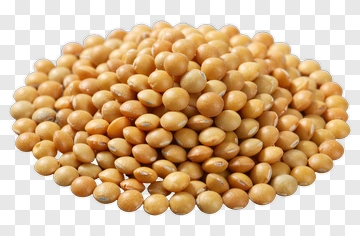 Pile Of Yellow Lentils PNG