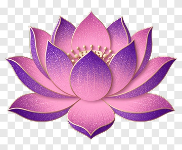 Colorful Lotus Flower PNG