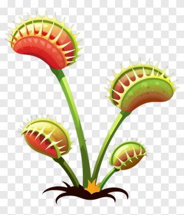 Colorful Venus Flytrap Plant PNG