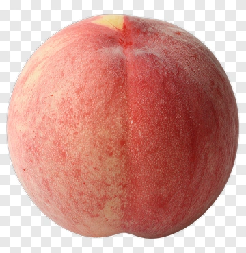 Fresh Red Apple PNG