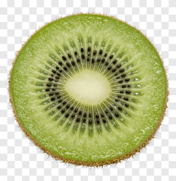 Fresh Kiwi Slice PNG