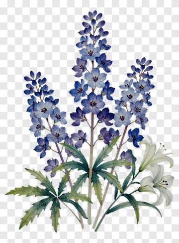 Blue Floral Bouquet PNG