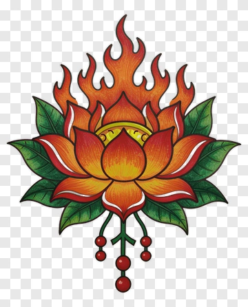 Colorful Lotus Flower With Flames PNG