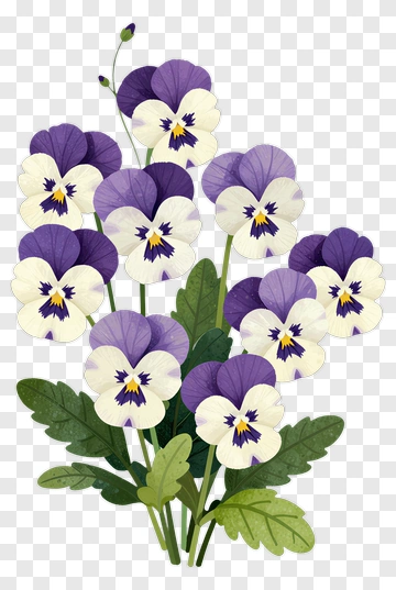 Purple Pansy Flower Bouquet PNG