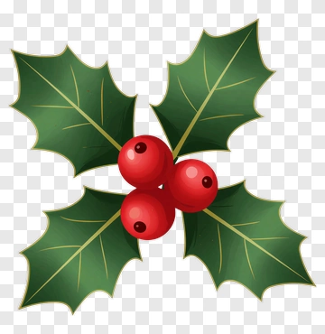 Holly Leaves With Red Berries PNG