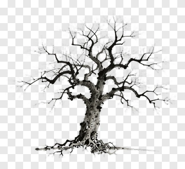 Black Tree With Bare Branches PNG