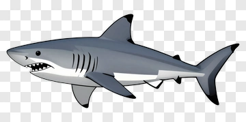 Cartoon Shark PNG