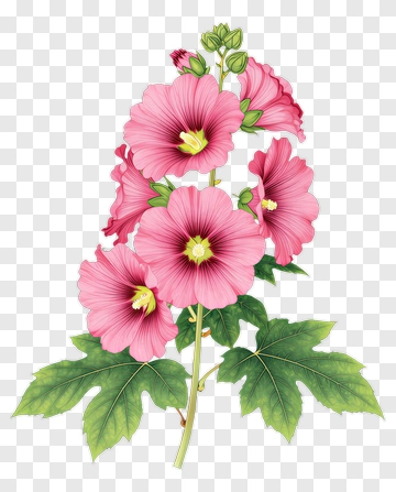 Pink Flower With Green Leaves PNG