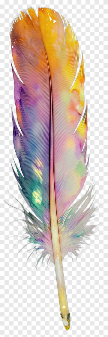 Colorful Feather With Watercolor Effect PNG