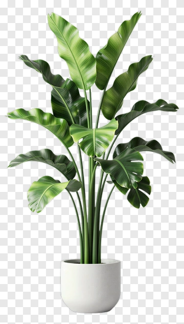 Felt Plant In White Pot PNG