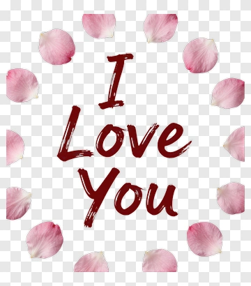 I Love You With Pink Petals PNG