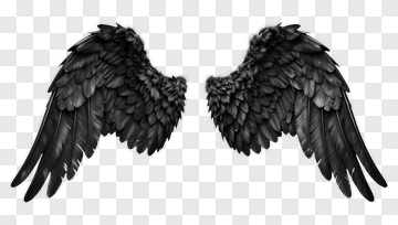 Black Feathered Angel Wings PNG