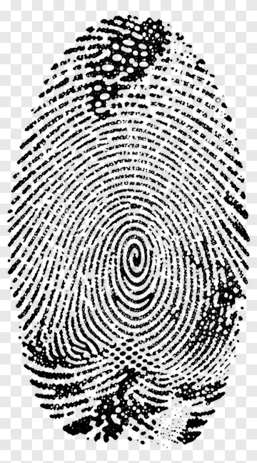 Fingerprint Pattern PNG