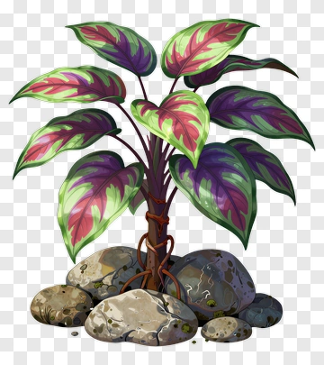 Colorful Plant With Rocks PNG