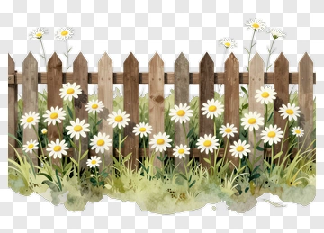 Wooden Fence With Daisies And Grass PNG