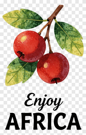 Enjoy Africa With Red Fruits And Green Leaves PNG