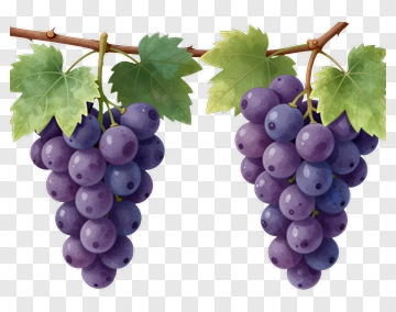 Bunch Of Grapes With Green Leaves PNG