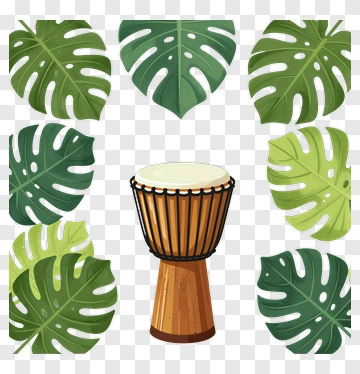 Drum Surrounded By Tropical Leaves PNG
