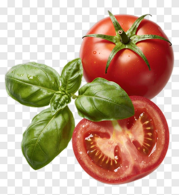 Fresh Tomato And Basil Leaves PNG