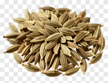 Cumin Seeds PNG