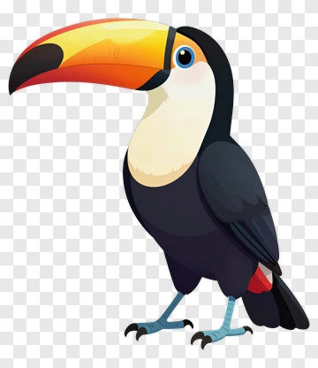 Cartoon Toucan PNG