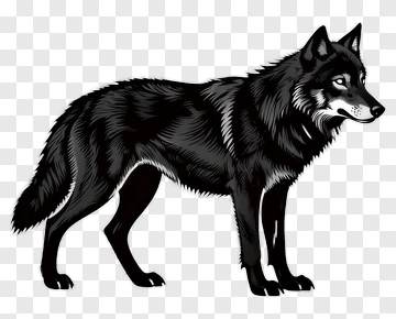 Black Wolf PNG