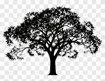 Silhouette Tree PNG
