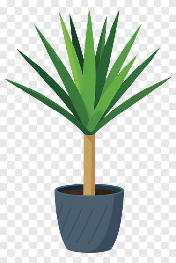Colorful Potted Plant PNG