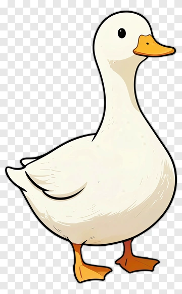 Cartoon Duck Standing PNG