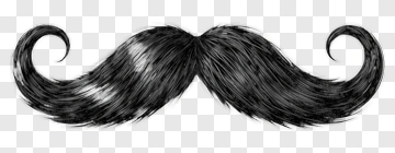 Stylized Black Mustache PNG