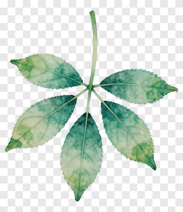 Watercolor Green Leaf PNG
