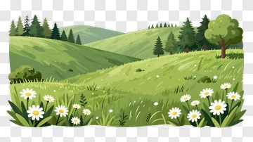 Lush Green Meadow With Wildflowers PNG