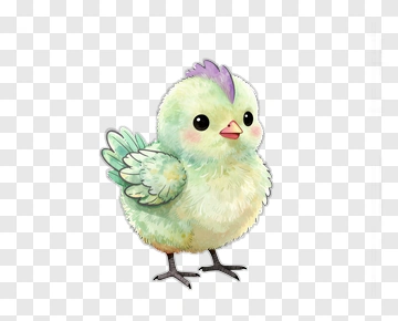 Cute Cartoon Chick With Colorful Feathers PNG