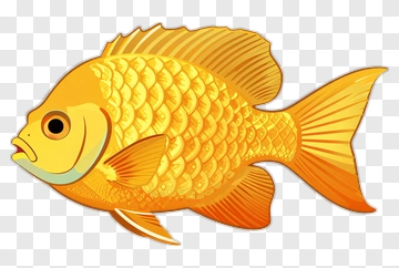 Cartoon Goldfish PNG