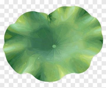 Green Leaf PNG