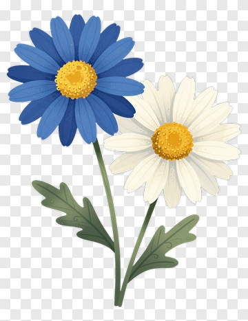 Blue And White Flower Bouquet PNG