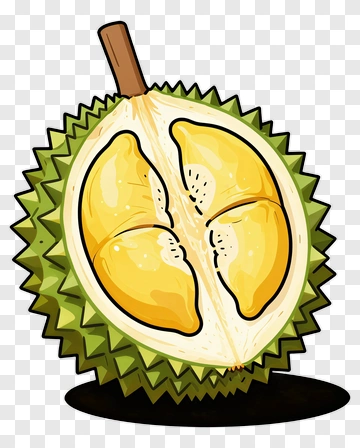 Cartoon Durian Fruit PNG