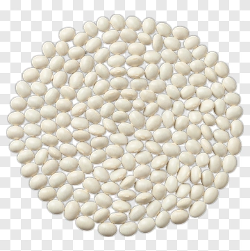 White Seeds In A Circular Arrangement PNG