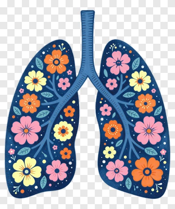 Floral Lungs Illustration PNG