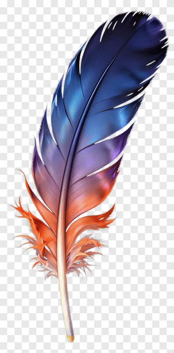 Colorful Feather PNG