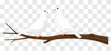 Two White Doves Sitting On A Branch PNG