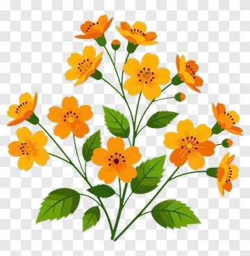 Colorful Flower Bouquet PNG