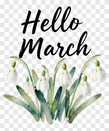 Hello March With Snowdrop Flowers PNG