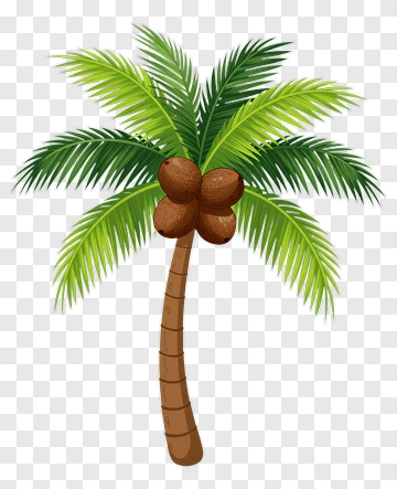 Coconut Palm Tree PNG