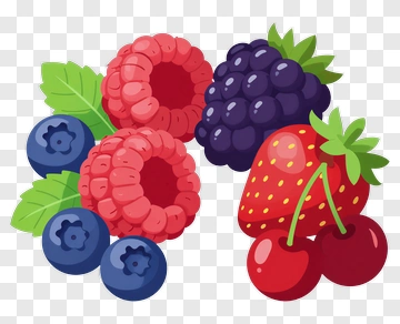 Colorful Berries And Cherries Arrangement PNG