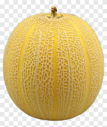 Melon With Textured Skin PNG