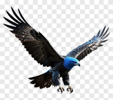 3D Black And Blue Eagle In Flight PNG