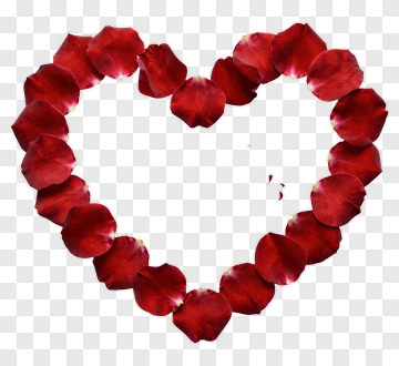 Heart Shape Made Of Red Rose Petals PNG